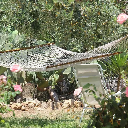 Bed & Breakfast Uliveto House *