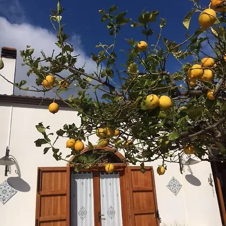 Uliveto House * Castellammare del Golfo